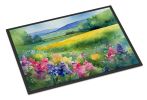 Massachusetts Mayflowers in Watercolor Doormat Front Door Mat Indoor Outdoor Rugs for Entryway, Non Slip Washable Low Pile, 24H X 36W
