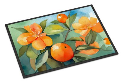 Florida Orange Blossom in Watercolor Doormat Front Door Mat Indoor Outdoor Rugs for Entryway, Non Slip Washable Low Pile, 24H X 36W