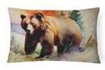 NEW Watercolor Wildlife Throw Pillow Throw Pillow for Indoor Couch Bed Outdoor Patio Washable, Grizzly Bear 2924,12Hx16W