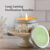 Magnificent 101 Long Lasting Pure White Sage Candle - 6 Oz - 35 Hour Burn Time | Organic, All Natural