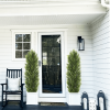 Faux Boxwood Pine Greenery Trees Plantas Artificiales For Decor Christmas-like Artificial Cedar Cypress Plants