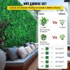 VEVOR Artificial Boxwood Panels, 14 PCS 20"x20" Boxwood Hedge Wall Panels, PE Artificial Grass Backdrop Wall 1.6"