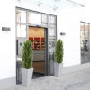 Christmas-like Artificial Cedar Cypress Plants Faux Boxwood Pine Greenery Trees Plantas Artificiales For Decor