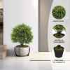 Exclusive Design Anti-UV Artificial Topiary Cedar Cypress Plant Tree Outdoor Artificial Bonsai Tree Plant Potted