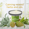 SAGE + Cedarwood Aromatherapy Candle for House Energy Cleansing and Stress Relief