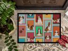 Lots of Shih Tzu Doormat Front Door Mat Indoor Outdoor Rugs for Entryway, Non Slip Washable Low Pile, 24H X 36W