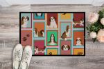 Lots of Shih Tzu Doormat Front Door Mat Indoor Outdoor Rugs for Entryway, Non Slip Washable Low Pile, 24H X 36W