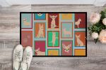 Lots of Chihuahua Doormat Front Door Mat Indoor Outdoor Rugs for Entryway, Non Slip Washable Low Pile, 24H X 36W