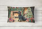 Cozy Christmas Throw Pillow Throw Pillow for Indoor Couch Bed Outdoor Patio Washable, Portuguese Water Dog 2729,12Hx16W