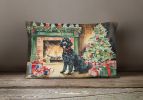 Cozy Christmas Throw Pillow Throw Pillow for Indoor Couch Bed Outdoor Patio Washable, Portuguese Water Dog 2729,12Hx16W