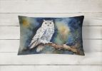 Watercolor Birds Throw Pillow Throw Pillow for Indoor Couch Bed Outdoor Patio Washable, Snowy Owl 3266,12Hx16W