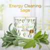 Magnificent 101 With Sage Leaf Large Glass Candle 14oz, Woody & Earthy Scented