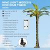 Outsunny 6' Artificial Lighted Palm Tree with 3 Coconuts, 240 LED Light, Color Changing Light Up Tropical Palm Tree with Remote for Indoor, Outdoor