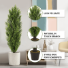 Christmas-like Artificial Cedar Cypress Plants Faux Boxwood Pine Greenery Trees Plantas Artificiales For Decor