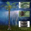 Outsunny 6' Artificial Lighted Palm Tree with 3 Coconuts, 240 LED Light, Color Changing Light Up Tropical Palm Tree with Remote for Indoor, Outdoor