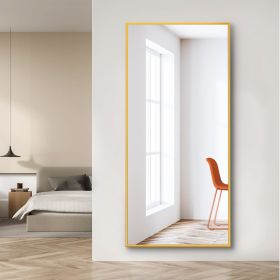 Dolonm 65x22 Inch Full Length Mirror, Modern Design Standing Floor Mirror, Full Body Mirror for Living Room, Bedroom, Bathroom, Cloakroom, Hallway (Color: as Pic)