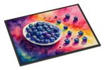 Colorful Blueberries Doormat Front Door Mat Indoor Outdoor Rugs for Entryway, Non Slip Washable Low Pile, 24H X 36W