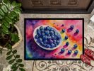Colorful Blueberries Doormat Front Door Mat Indoor Outdoor Rugs for Entryway, Non Slip Washable Low Pile, 24H X 36W