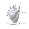 Vase In The Shape Of Human Heart, Home Decoration, Desktop Art Craft Ornament, Exquisite And High-end Indoor Vase, Organ Design Flower Container